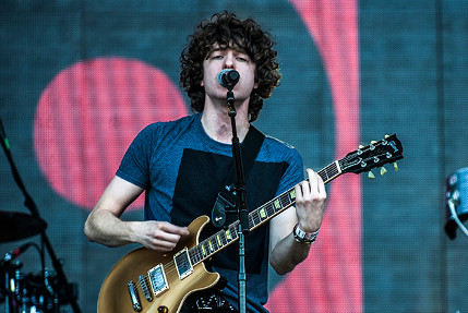 the wombats